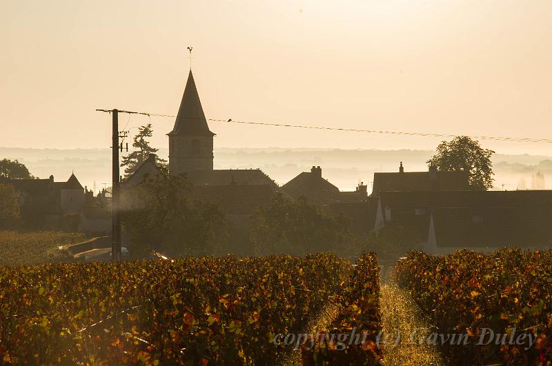 Vosne-Romanée,  Côte d'Or morning IMGP3715.jpg